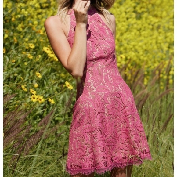 Dress the Population Angie Lace Fit & Flare Dress - Picture 5 of 16